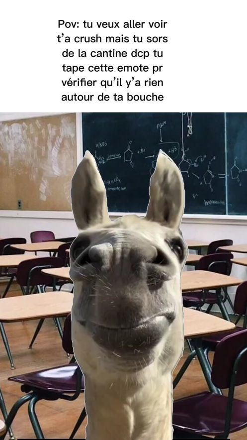 TikTok video thumbnail by classe952