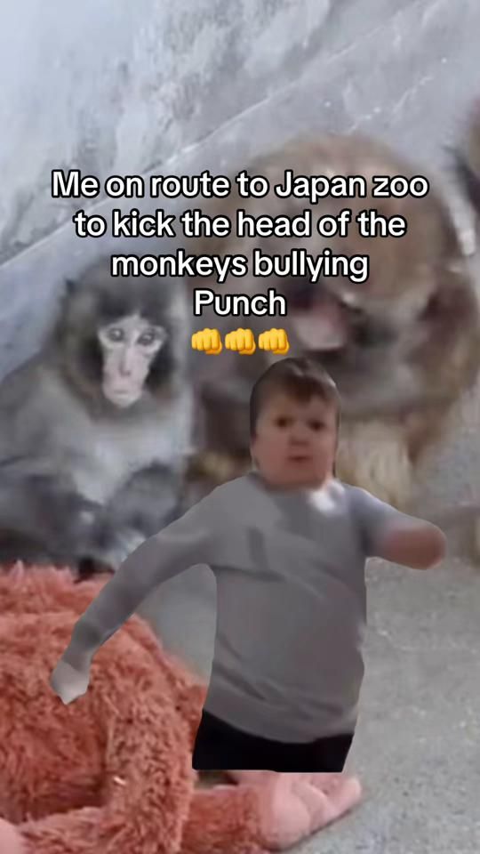 TikTok video thumbnail by michelle_lynch23