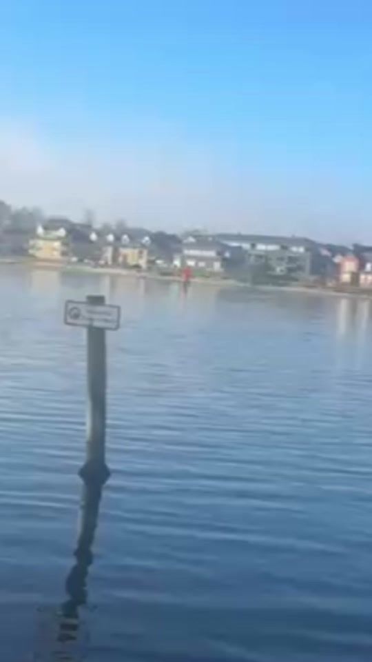 TikTok video thumbnail by rose_24_22