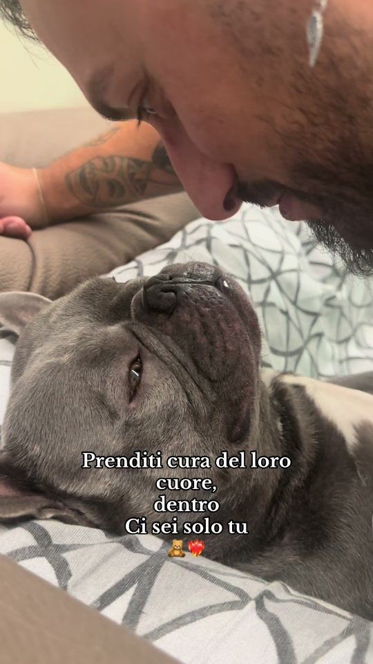 TikTok video thumbnail by andrea_e_ciccio