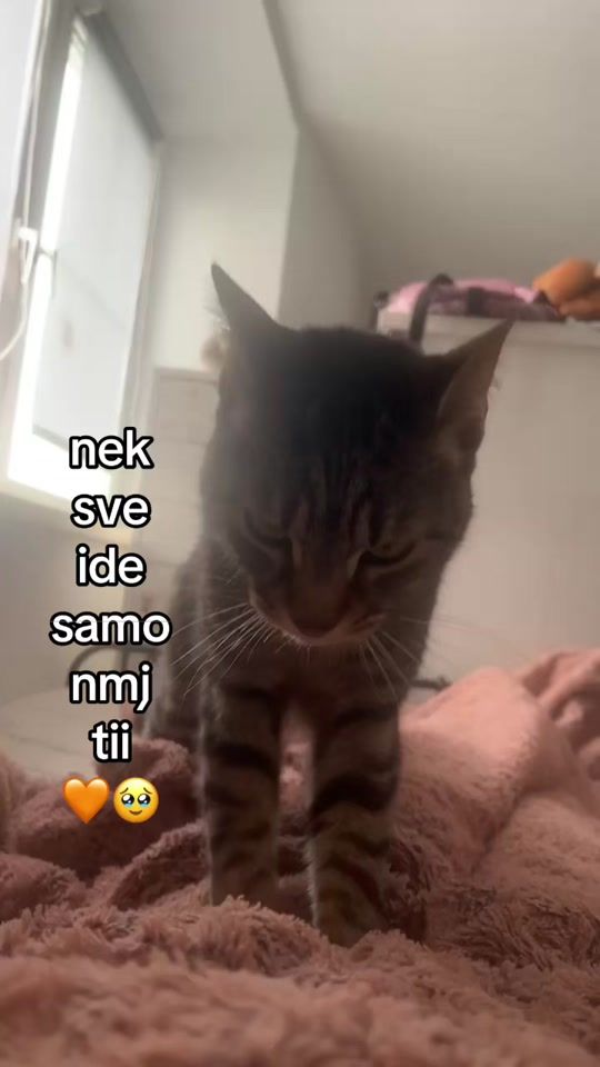 TikTok video thumbnail by ovdee_pati