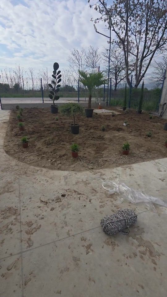 TikTok video thumbnail by flora_plants