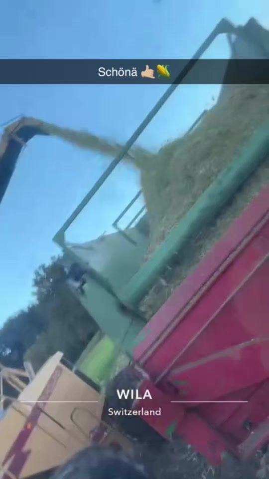 TikTok video thumbnail by fischeragrar