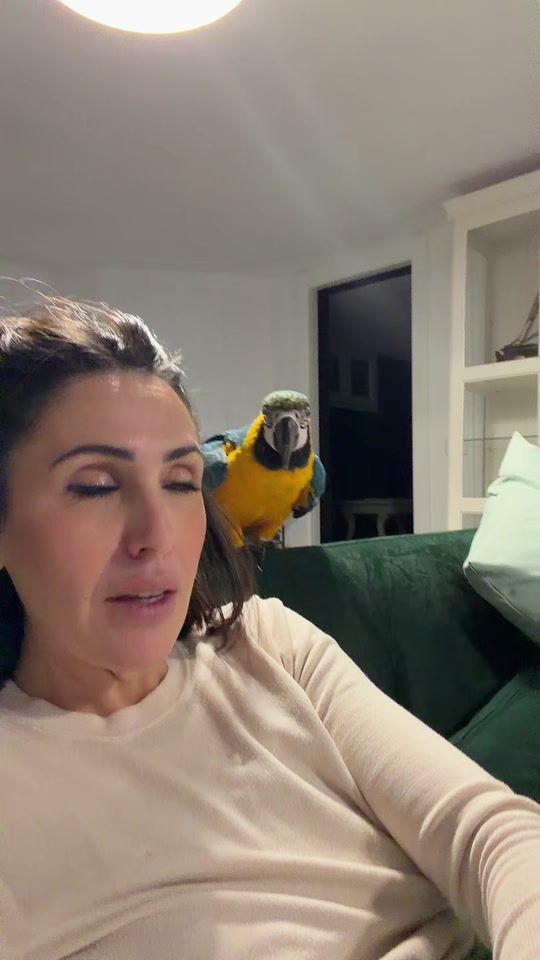 TikTok video thumbnail by nonsonoladani