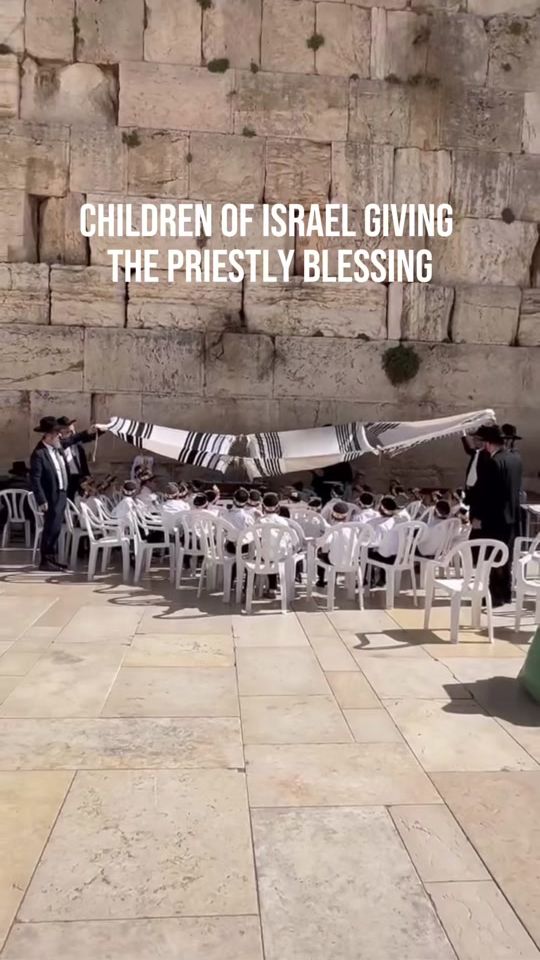 TikTok video thumbnail by thejerusalemite