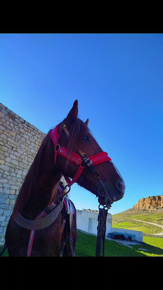TikTok video thumbnail by mehdi_roma1