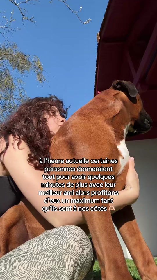 TikTok video thumbnail by pumbadaboum