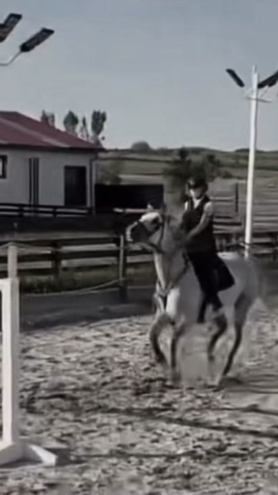 TikTok video thumbnail by equestrian_editsb