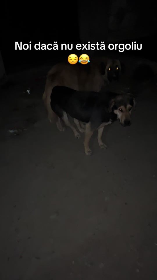 TikTok video thumbnail by _davidx_1