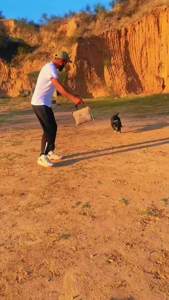 TikTok video thumbnail by petssecret7