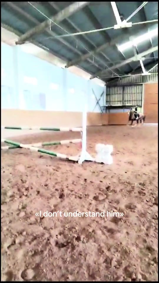 TikTok video thumbnail by equ_darja