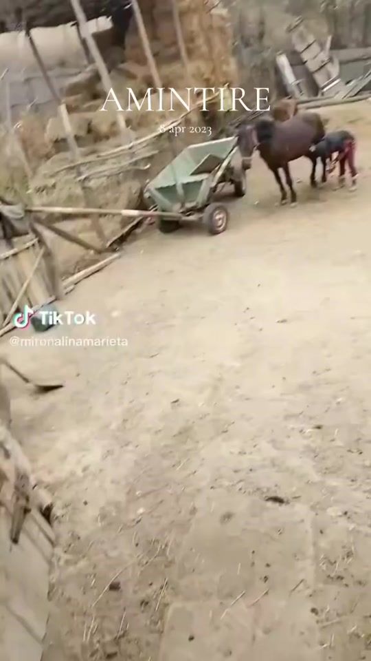 TikTok video thumbnail by lapusneanuvaleric