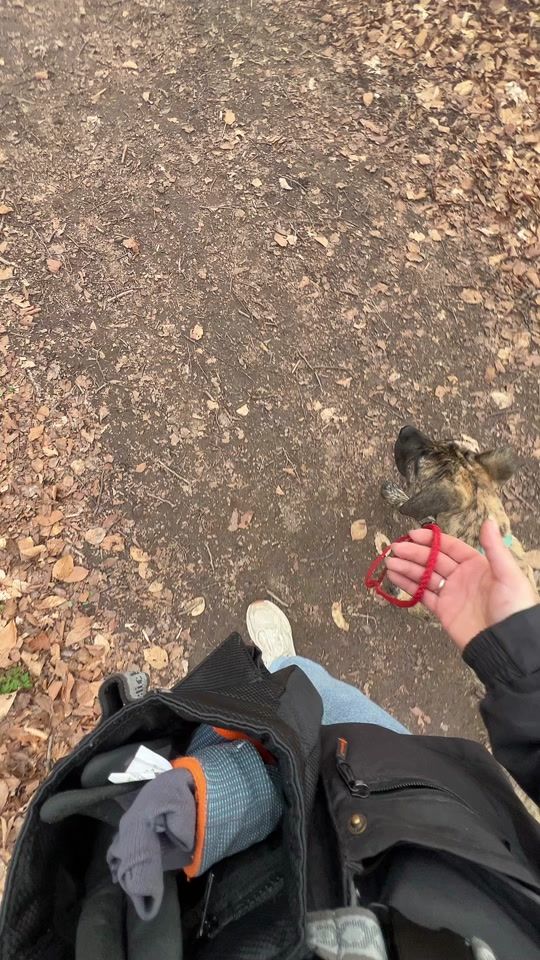 TikTok video thumbnail by ingenting1051