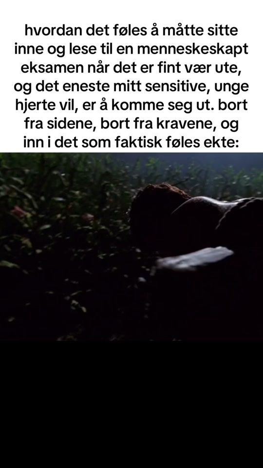 TikTok video thumbnail by bull.aarstad