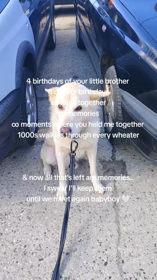 TikTok video thumbnail by _d_e_b_i_i_