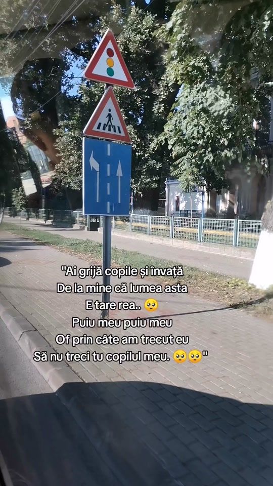TikTok video thumbnail by baiatulanonim4