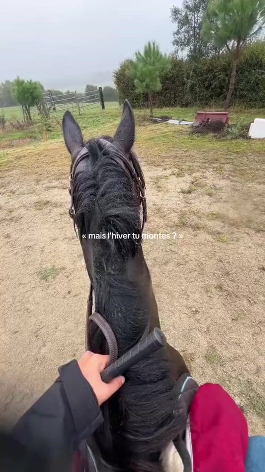TikTok video thumbnail by poneys.jump