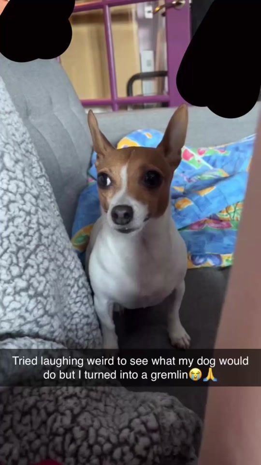 TikTok video thumbnail by .lowkey._.mel