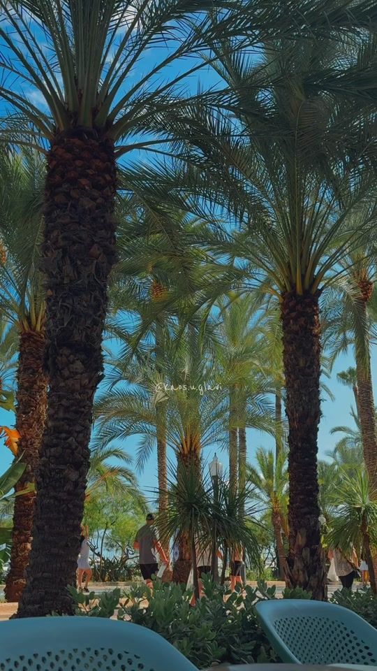 TikTok video thumbnail by kaos.u.glavi