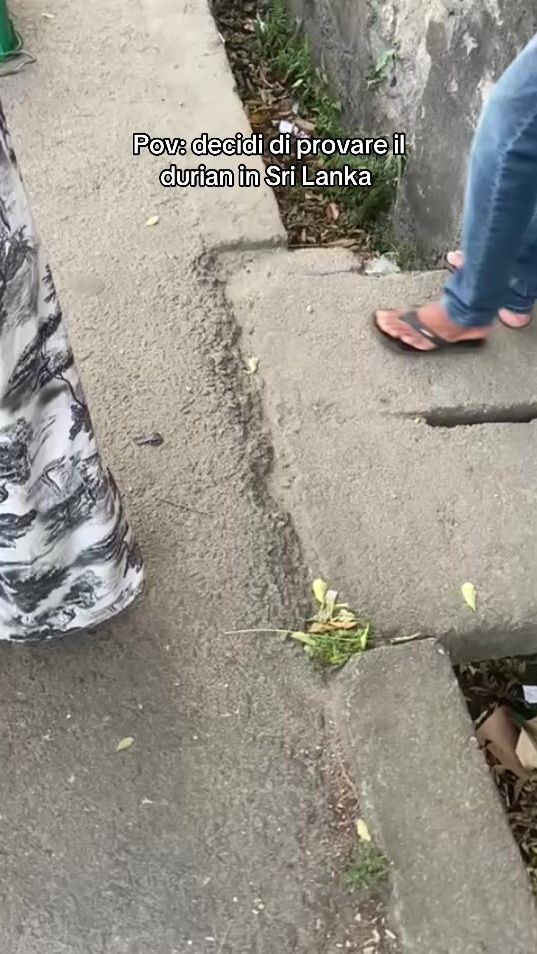 TikTok video thumbnail by beatricesilva29