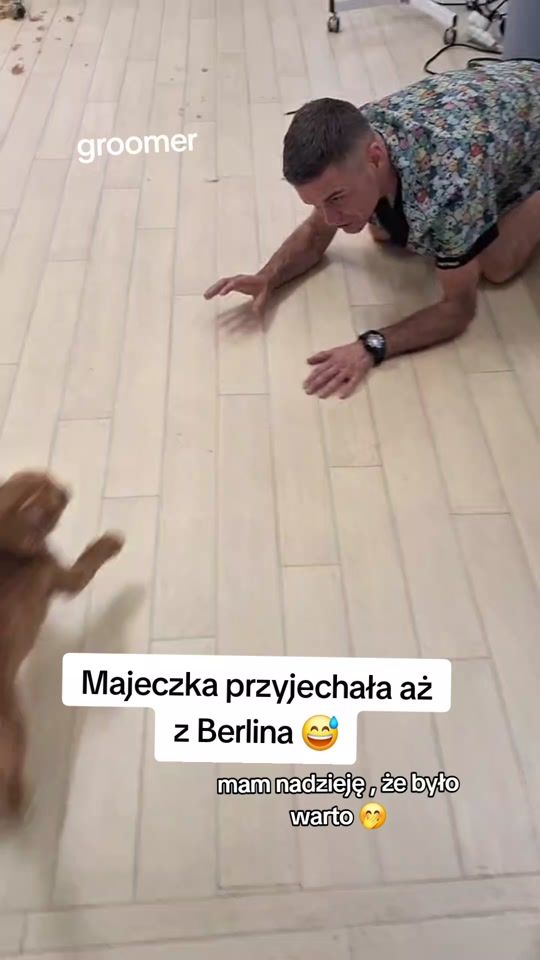 TikTok video thumbnail by pawelgroomer