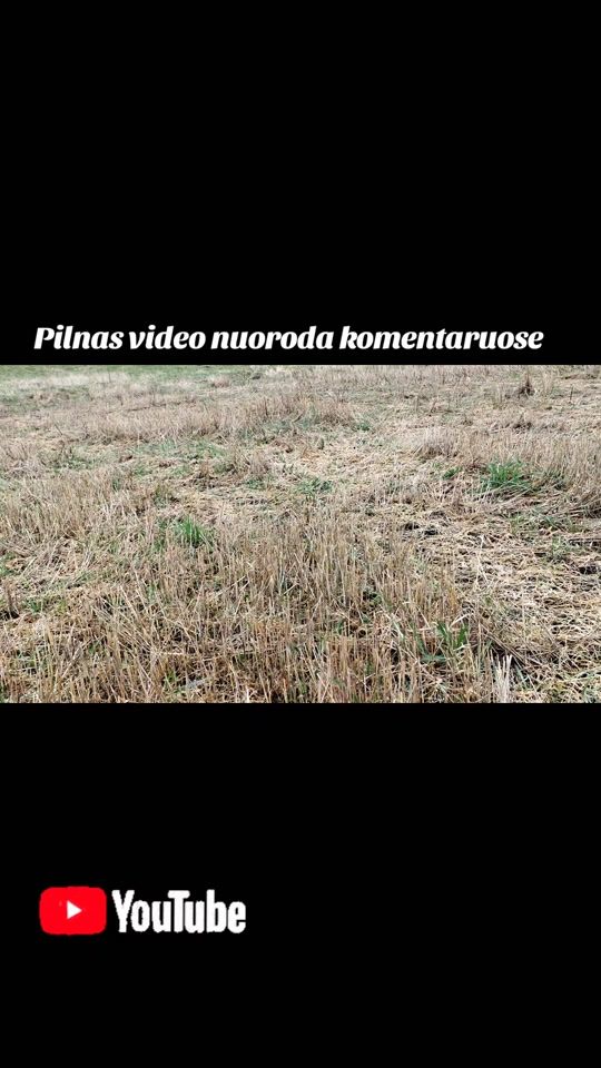 TikTok video thumbnail by almantas_historykeeper