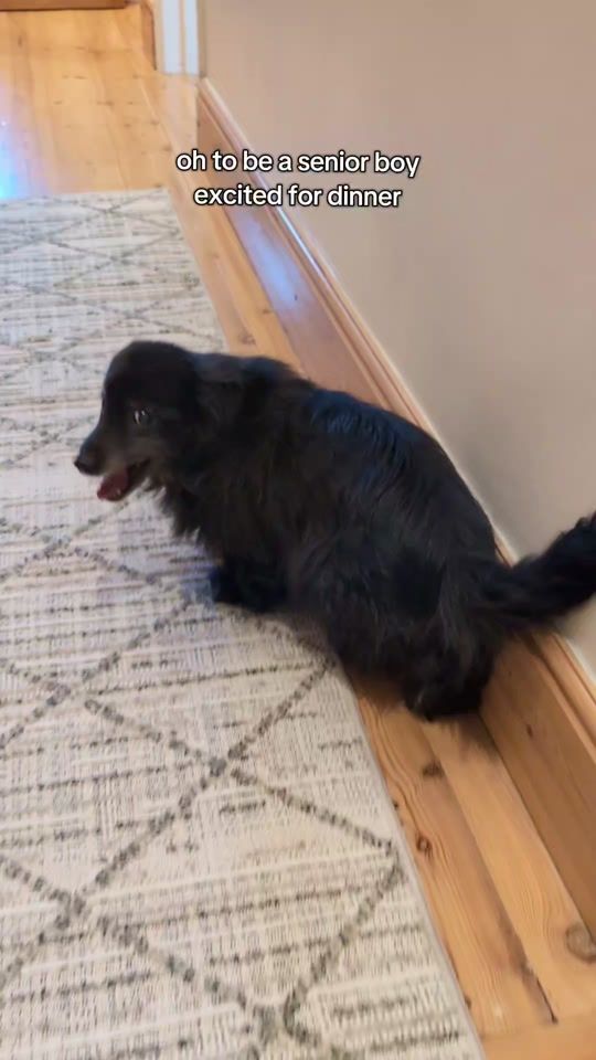 TikTok video thumbnail by oreo.boyboy