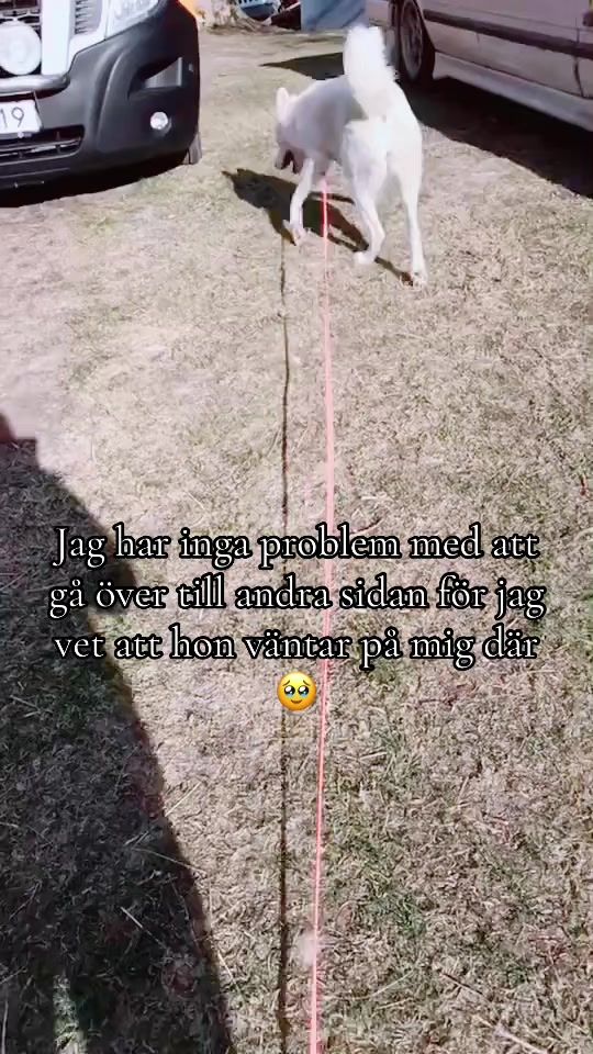 TikTok video thumbnail by tanyarisberg