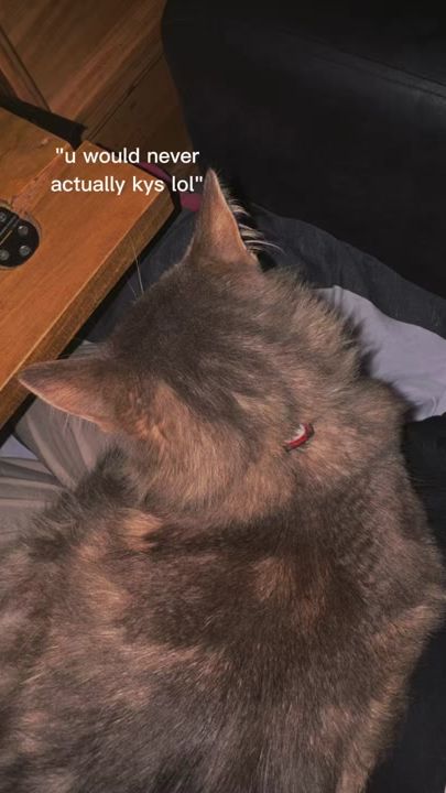 TikTok video thumbnail by xcvt3z