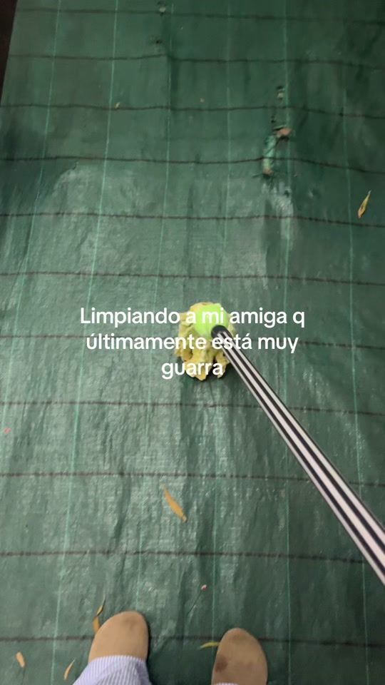 TikTok video thumbnail by mareandoo_