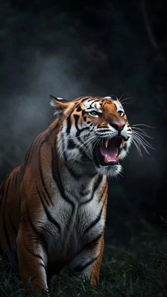 TikTok video thumbnail by anime_motivation_01