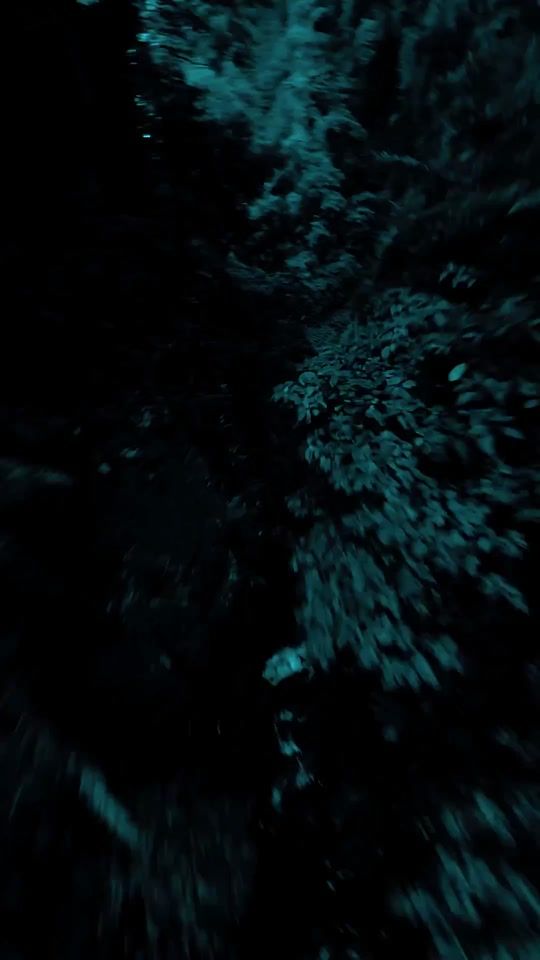 TikTok video thumbnail by liric.craft