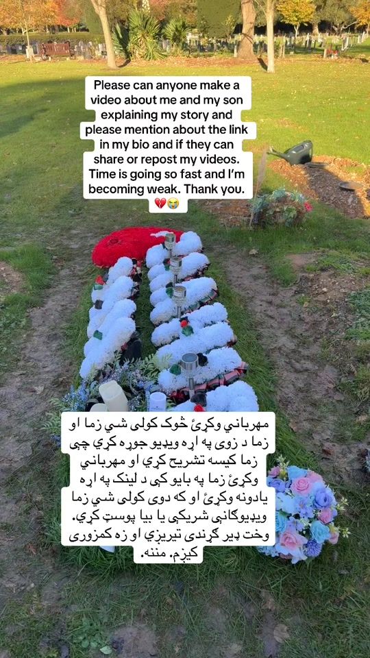 TikTok video thumbnail by azariaafghan