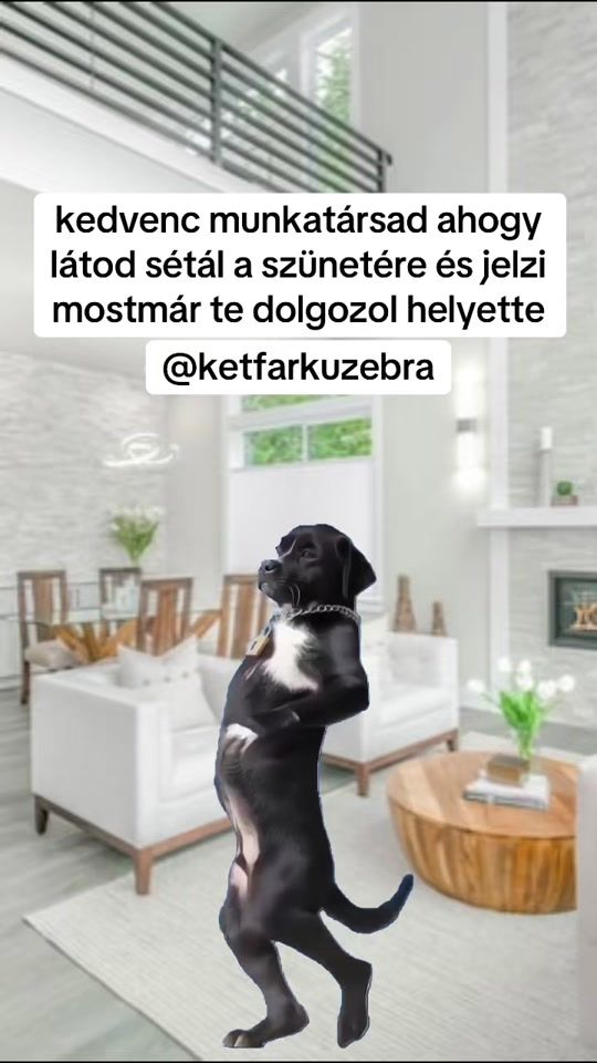 TikTok video thumbnail by ketfarkuzebra