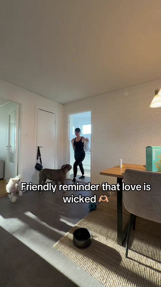 TikTok video thumbnail by sofieferlin