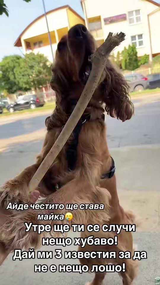 TikTok video thumbnail by __kim.__2