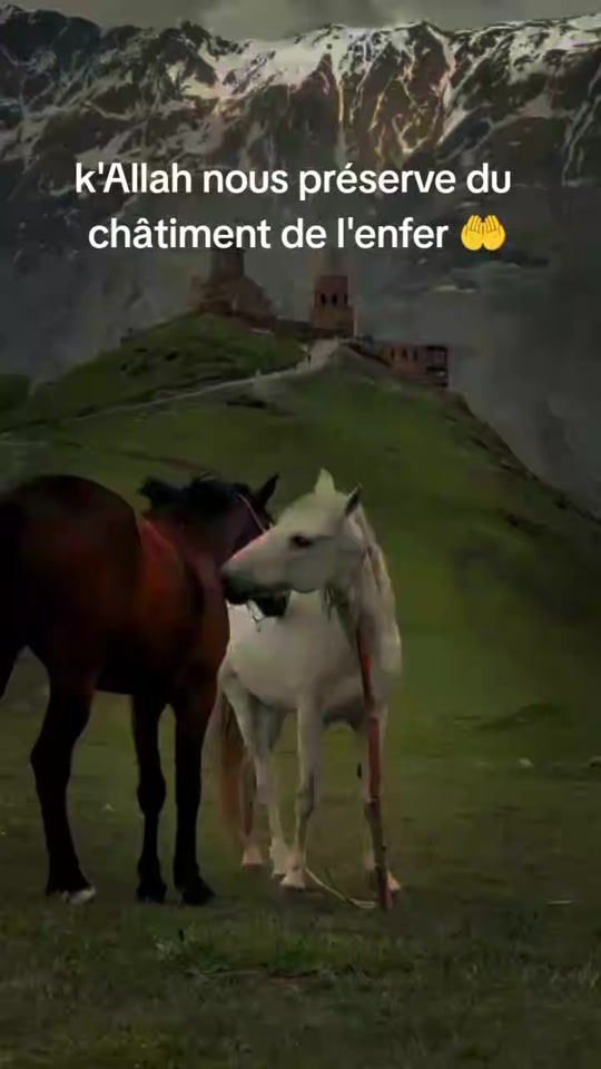 TikTok video thumbnail by coran.al.karim1