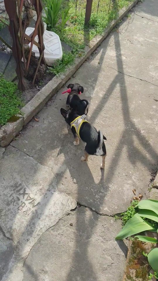 TikTok video thumbnail by naziri28