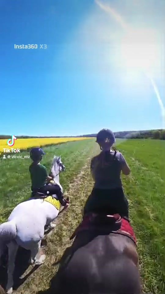 TikTok video thumbnail by perrine_mv