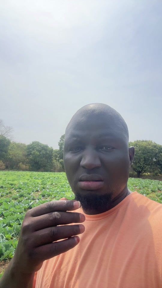 TikTok video thumbnail by dawour.agri
