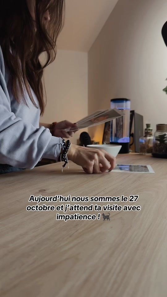 TikTok video thumbnail by amelie_fiol