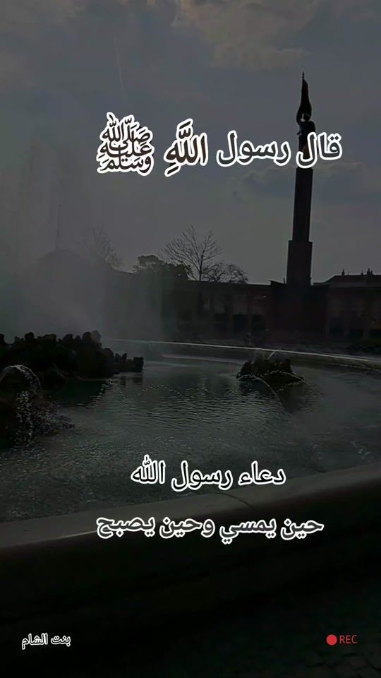 TikTok video thumbnail by shamnourha2000