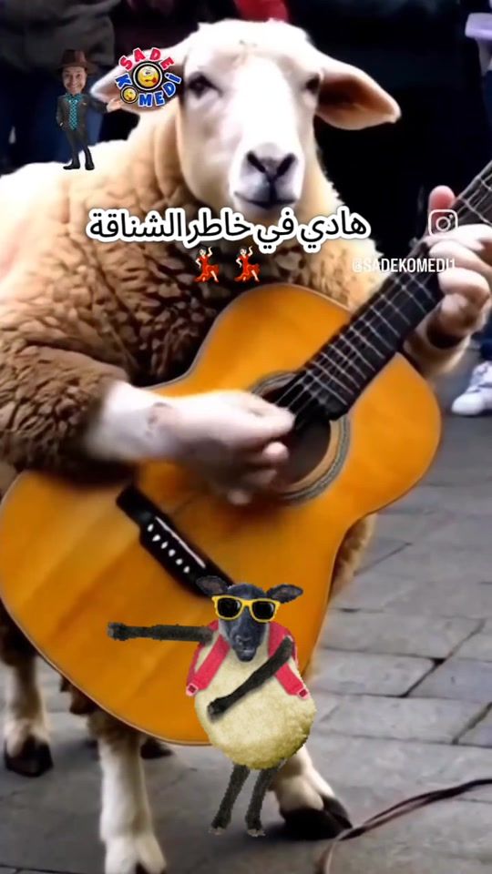 TikTok video thumbnail by user3393261287616