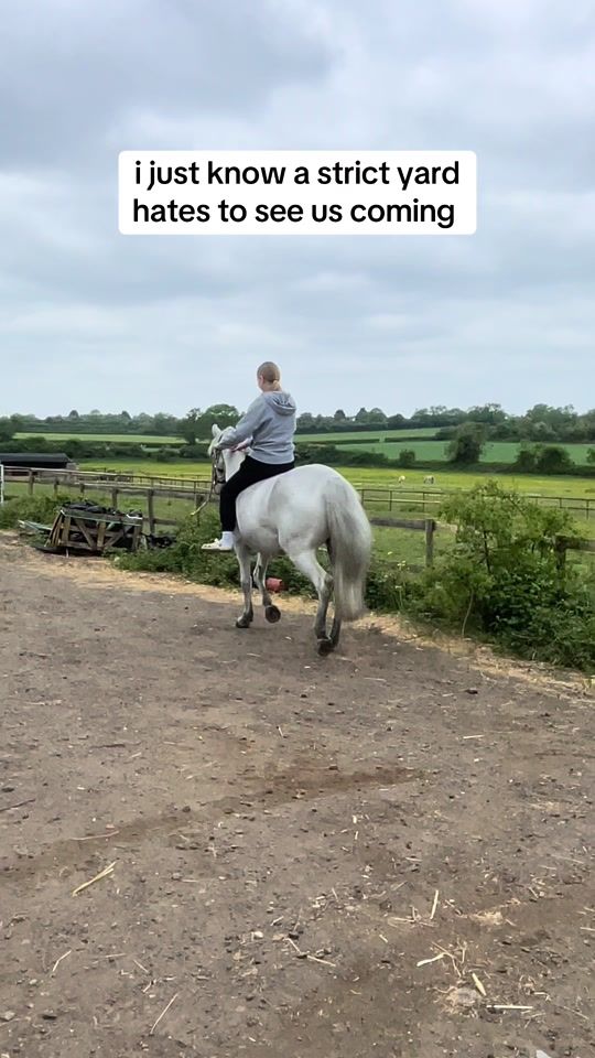 TikTok video thumbnail by equine.jj