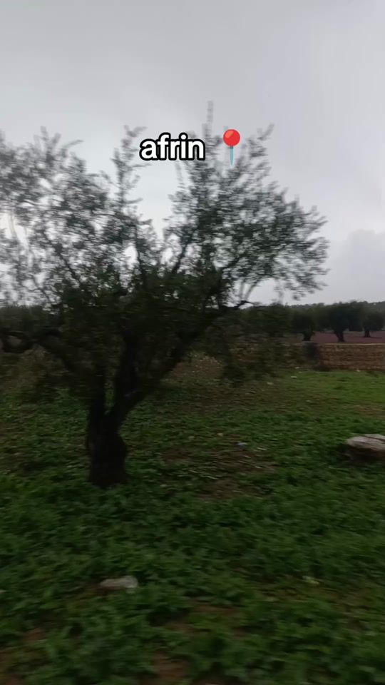 TikTok video thumbnail by user8007461857883