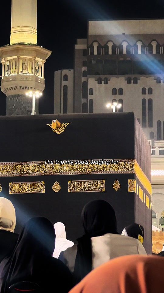 TikTok video thumbnail by daily.sabr