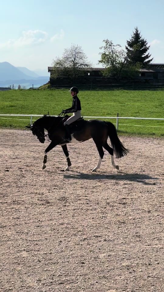 TikTok video thumbnail by showjumping_jw