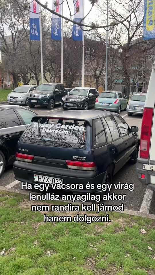 TikTok video thumbnail by _miskolczi