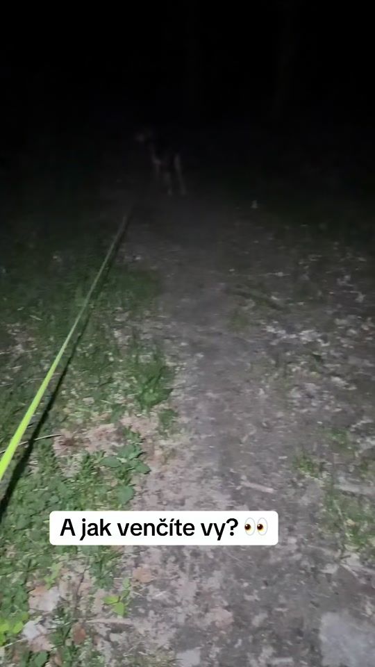 TikTok video thumbnail by destiny_pet_cz