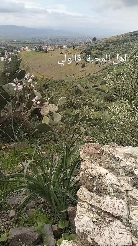 TikTok video thumbnail by dzi3486